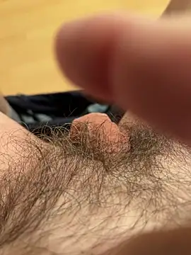 csikar online show from 25, 2, 2026