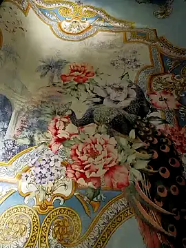 suckthebigdick0305 online show from 28, 2, 2026