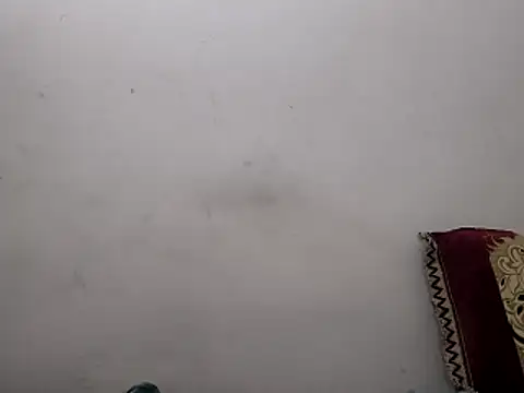 twinkarabboy online show from 24, 3, 2026