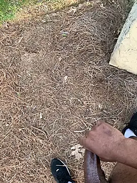 PublicBbc online show from 25, 3, 2026