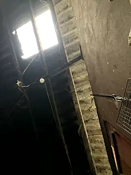 Snapshot of Nika-be chatting on 17, 1, 2026 Nika-be online show from 17, 1, 2026