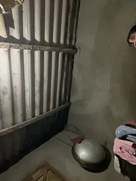 Nika-be online show from 5, 3, 2026