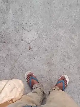 Nick universal online show from 28, 2, 2026