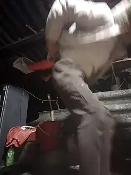 baby8822 online show from 11, 1, 2026