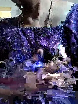 White-Rose-Telugu online show from 22, 12, 2025