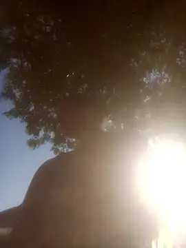 Pinki rajak online show from 17, 1, 2026