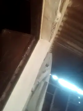 Pinki rajak online show from 16, 2, 2026