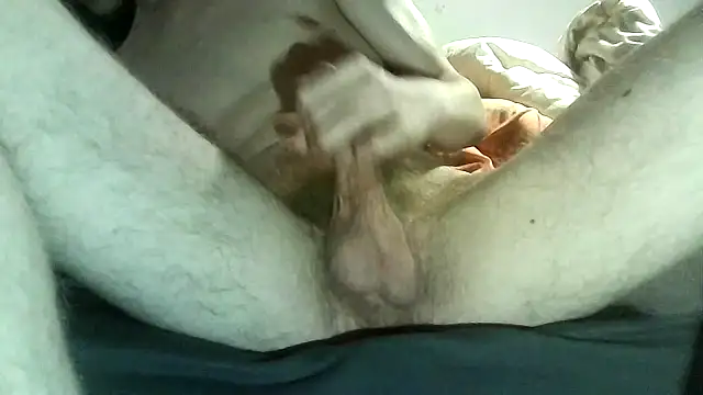 tierto88 online show from 8, 1, 2026