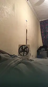 reckless 34 online show from 11, 2, 2026