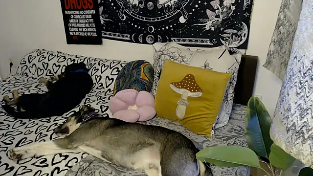 Snapshot of AlienforTwenty chatting on 26, 2, 2026 AlienforTwenty online show from 26, 2, 2026