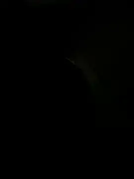 sexonli online show from 16, 1, 2026