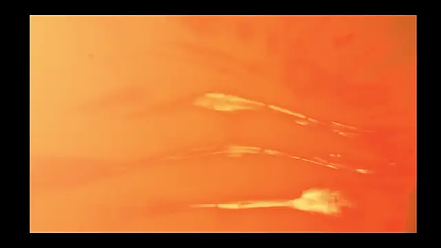 vickvalencia2 online show from 13, 2, 2026