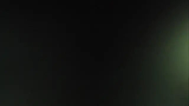 sweet furry online show from 16, 12, 2025