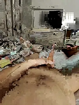 donndiamon online show from 22, 12, 2025