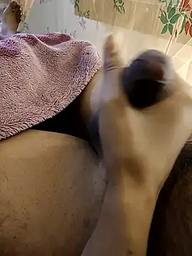 susuadult online show from 14, 1, 2026