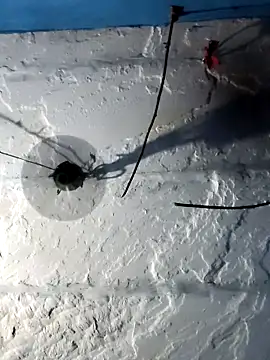 Akanksha soni online show from 3, 4, 2026