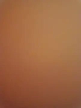 Snapshot of Punam_sekhavat chatting on 17, 12, 2025 Punam sekhavat online show from 17, 12, 2025