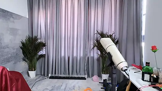 hafabva online show from 1, 4, 2026