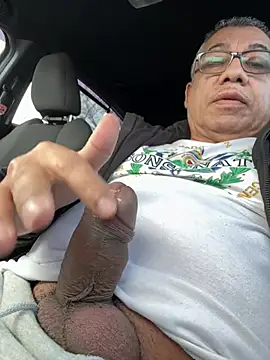 tigre6911 online show from 26, 2, 2026