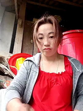 seacyre online show from 1, 4, 2026