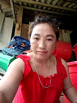 seacyre online show from 25, 5, 2026