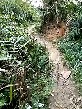 seacyre online show from 11, 4, 2026