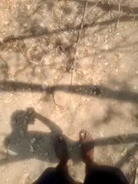 rejxcg- online show from 21, 4, 2026