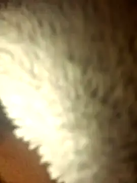 micaela691 online show from 16, 12, 2025