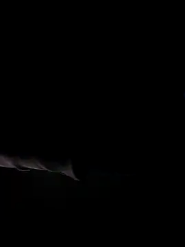 bnglrboy0886 online show from 22, 4, 2026