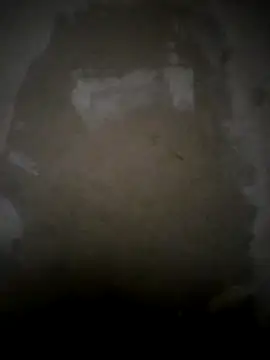 Blackpounder online show from 29, 3, 2026