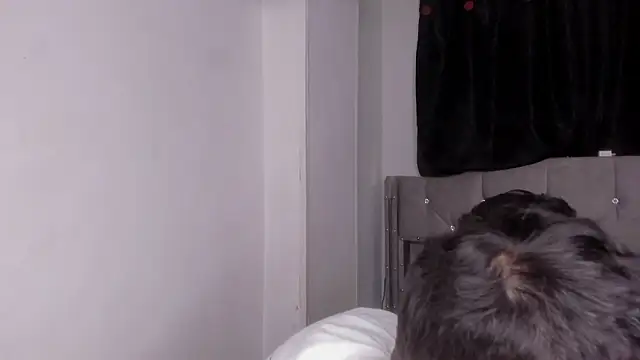 naughtysalomon   online show from 15, 2, 2026