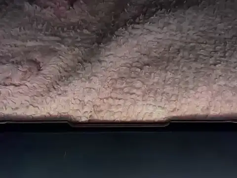 Snapshot of OherDav chatting on 25, 2, 2026 OherDav online show from 25, 2, 2026