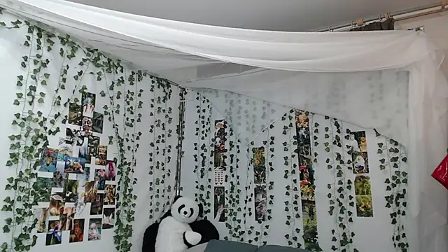 DeerMiracle online show from 9, 1, 2026