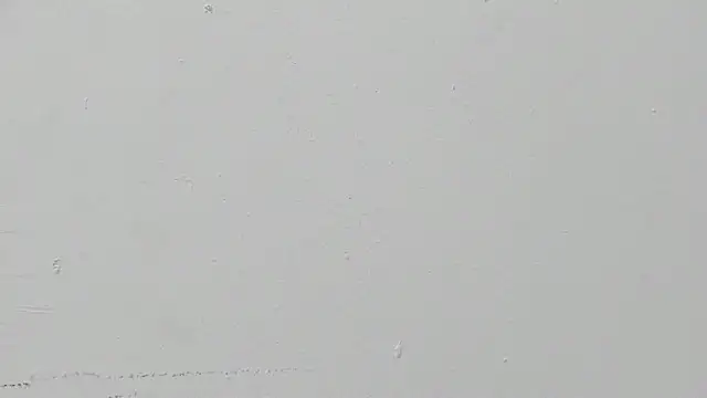 ariloe quintero online show from 14, 4, 2026