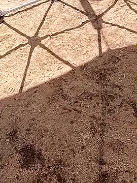 LaicyBrown76 online show from 7, 3, 2026