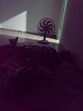 WPS15 online show from 15, 4, 2026