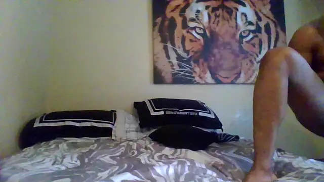 KingDes55 online show from 11, 3, 2026