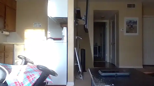 KingDes55 online show from 31, 3, 2026