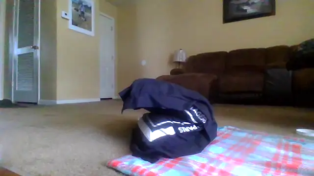 KingDes55 online show from 14, 4, 2026