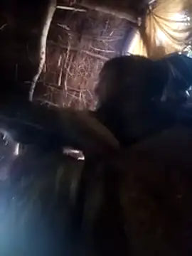 Kiran bhabi online show from 7, 1, 2026