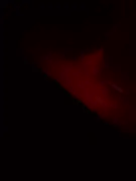 vishalk12346 online show from 8, 1, 2026