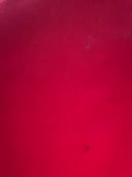 missmisha01 online show from 17, 2, 2026