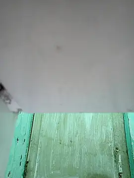 novio-de-la-tarde online show from 12, 2, 2026