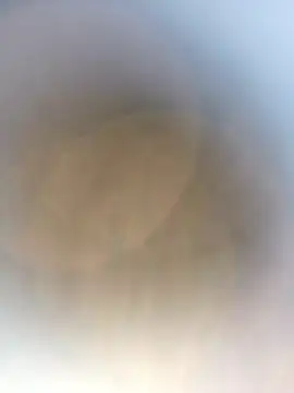 novio-de-la-tarde online show from 24, 4, 2026