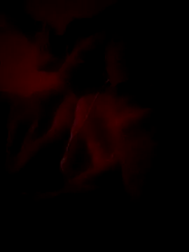 Premraj radherani online show from 6, 1, 2026