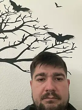 LienalWarplane online show from 8, 2, 2026