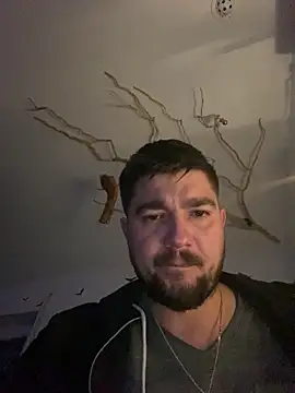 LienalWarplane online show from 6, 2, 2026