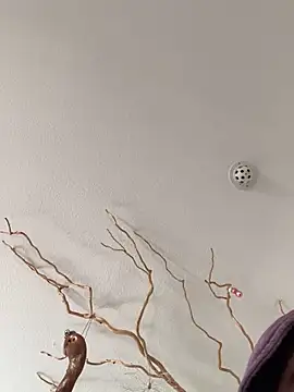 LienalWarplane online show from 5, 2, 2026