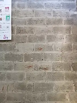 bonita  online show from 14, 1, 2026