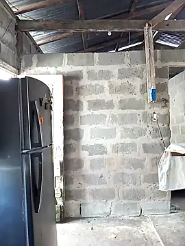 bonita  online show from 9, 1, 2026